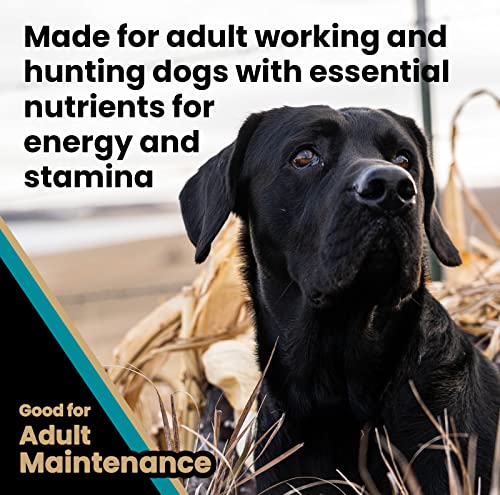 Image of VICTOR Realtree MAX-5 PRO High Protein Dry Dog Food - Gluten Free, 5 lb | Super Premium Dog Food, Promotes Joint Health with Glucosamine, 30% Protein, For Active & Sporting Adult Dogs, 5lbs