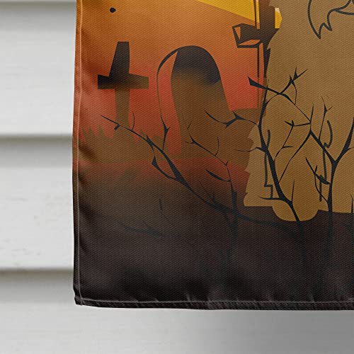 Drapeau de maison Halloween Glen de Imal Tan grand format résistant aux intempéries BB4326CHF - 5