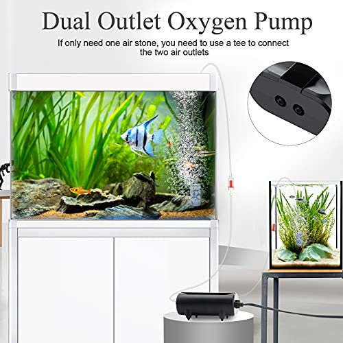 Image of AQQA Aquarium Air Pump,3.5W 5W Dual Outlet Oxygen Pump with 2 Air Stone,Adjustable Air Valve Quiet Bubbler Pump,Up to 160 Gallon Fish Tank (3.5w) (Pack of 3)