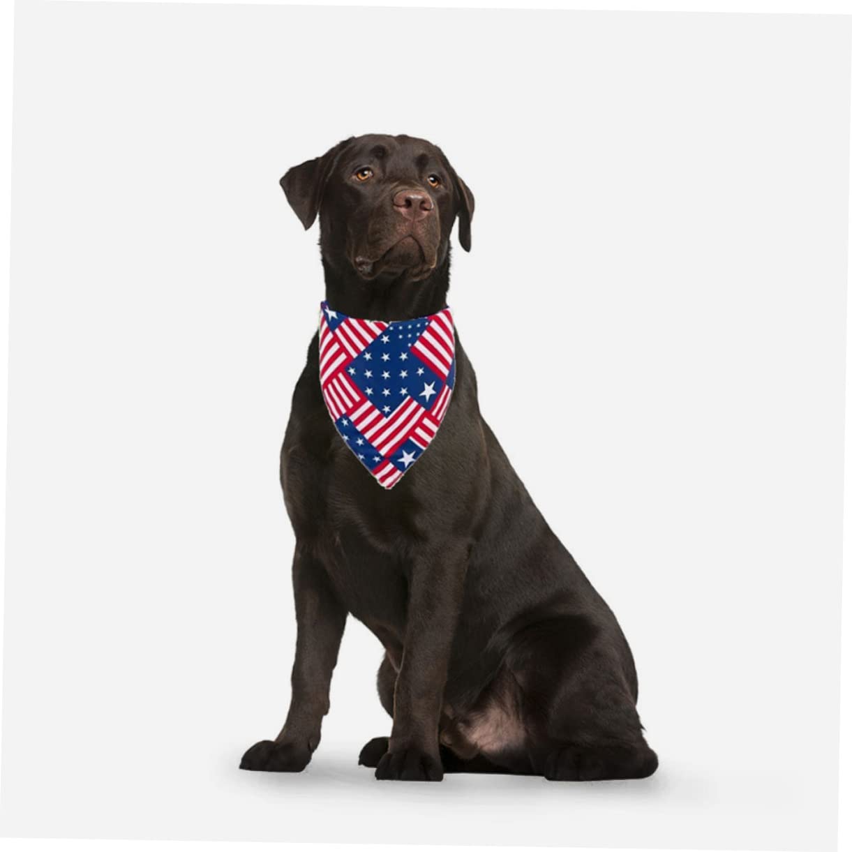 INOOMP 20pièces Bandanas pour Chiens Et Écharpes Décoratives Thématiques pour Fête De Indépendance Accessoires Lavables pour Animaux De Compagnie