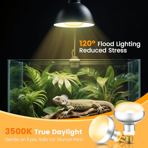 Image of REPTITRIP Dual Reptile Light Fixture with 100W Daytime Heat Bulb & 100W Nighttime Ceramic Heat Emitter, 2 Independent Switches, Reptile Heat Lamp Combo Pack - No UVB