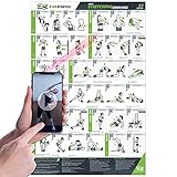 EverStretch Stretching Poster - Large 23' x 35' Laminated Workout Chart with Video Instructions for Home Gym