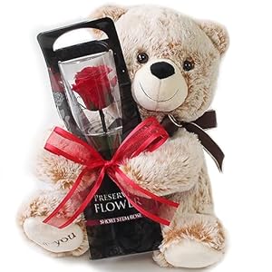 プリザーブドフラワー プリザードフラワー クマさんと一輪の薔薇 レッド プレゼント お祝い 記念日 誕生日 アレンジ フラワーギフト フラワーアレンジメント 枯れないバラ 花 女性 母の日 プレゼント 花