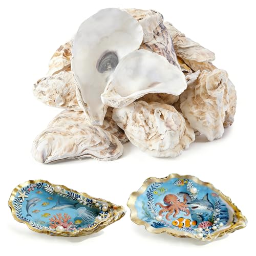 VMEECARL 20Pcs 4'-6' Oyster Shells for Crafts Natural Large Oyster...