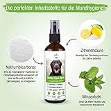 MC-Royal NEU Dental Care Spray für Hunde & Katzen - Zahnreinigung, Zahnpflege Hund, Dentalspray gegen Mundgeruch, Zahnsteinentferner Hund, zahnbürste Hund