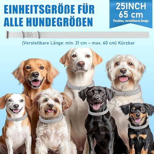 Yineaae 6 Stück Beruhigungsmittel Calm Halsbänder für Hunde mit Pheromon, Beruhigung Hund Hilft Unerwünschtes Verhalten zu Reduzieren, Stressabbau, Hält 120 Tage, Flexibel Einstellbar für Alle Hund