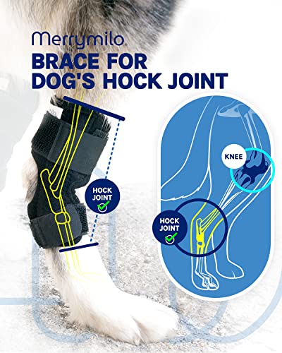 Image of Dog Leg Brace, 1 Pair Rear Hock & Ankle, Canine Hind Leg Joint Compression Wrap for Torn ACL & CCL, Injury and Sprain Protection, Wound Care and Loss of Stability, Size: M(2 Pack)