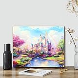 DIY Paint by Numbers for Adults Kids Paint by Numbers Disney Castle DIY Painting Acrylic Paint by Numbers Painting Kit Home Wall Living Room Bedroom Decoration Rainbow Castle