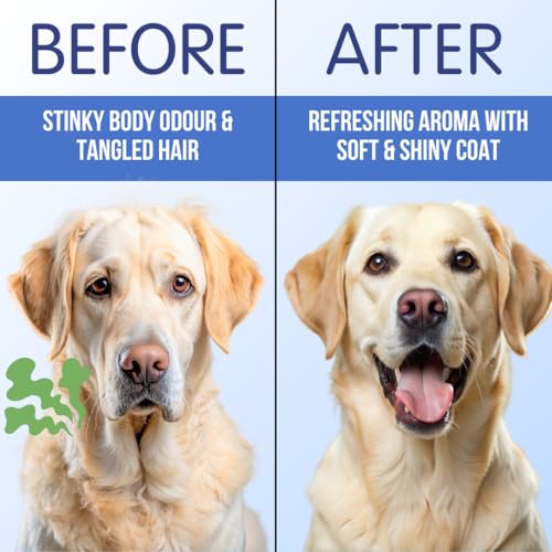 Humane & Hound PawLish Professional Salon Series Dog Shampoo with ...