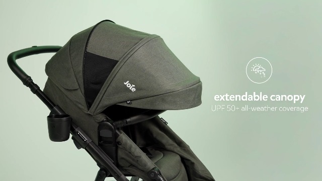 Amazon.com : Joie Ginger LX Stroller and Rue Infant Car Seat