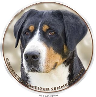 Suchergebnis Auf Amazon De Fur Schweizer Sennenhund Haustier