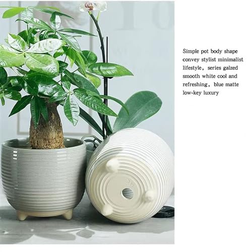 Pot de fleur en céramique pour salon moderne et usage domestique