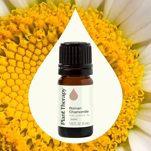 Aceite Esencial de Manzanilla Romana 5 mL Plant Therapy miniatura 3