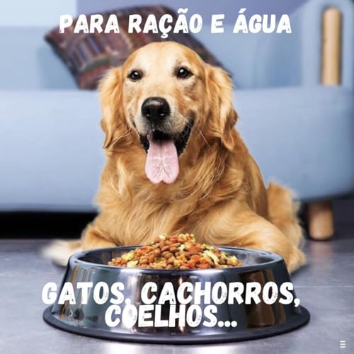KIT 2 TIJELAS COMEDOURO BEBEDOURO DE INOX 200 ML NÃO ENFERRUJA CACHORRO E CATOS PET COELHO COR PRATA