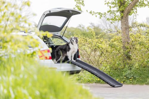 Trixie 3939 Klapp-Rampe Petwalk, 40 × 156 cm, 4,5 kg, schwarz