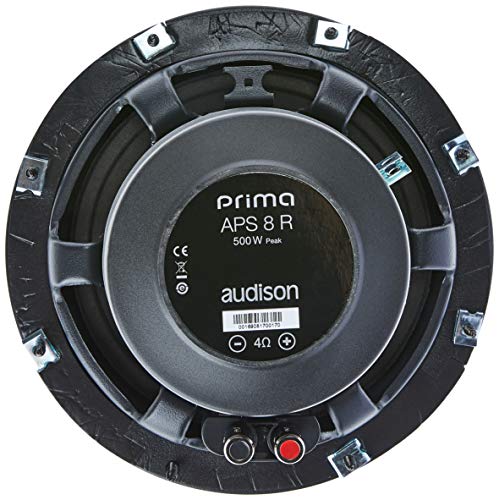 Subwoofer de 8