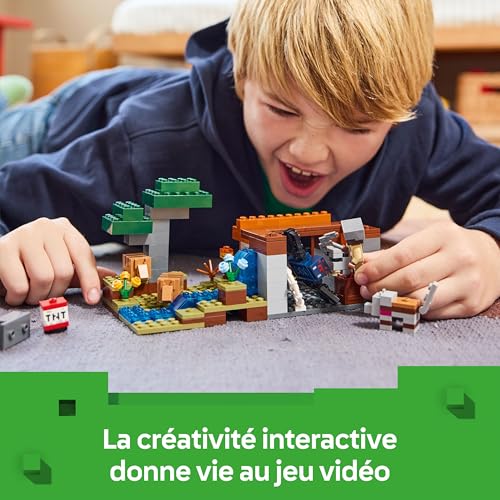 LEGO Minecraft 21269 'expédition dans la mine du tatou - vue 10
