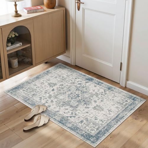 Rugxara 2x3 Entryway Rug,Door Mat Indoor Entrance, Washable Non Slip