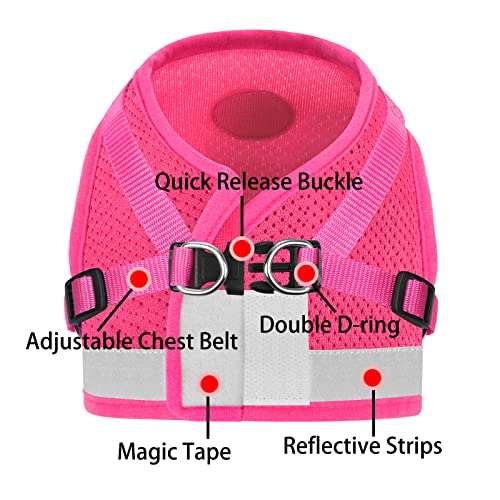 Cat Harnesses And Puppy Harness With Leashes Set, Escape Proof Cat Harness, Adjustable Reflective Soft Mesh Vest Fit Puppy Kitten Rabbit Ferrets's Outdoor Harness (Rose Red, M, Chest: 12" - 14") #TOP3