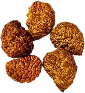 Natural 1 Mukhi One Faced Nepali Rudraksha Beads at Wholesale Rate Rs 1275/piece Spiritual Healing Loose Seed Making Jewellery Fine Quality Rudraksha for Reselling Astrologers Jewellers