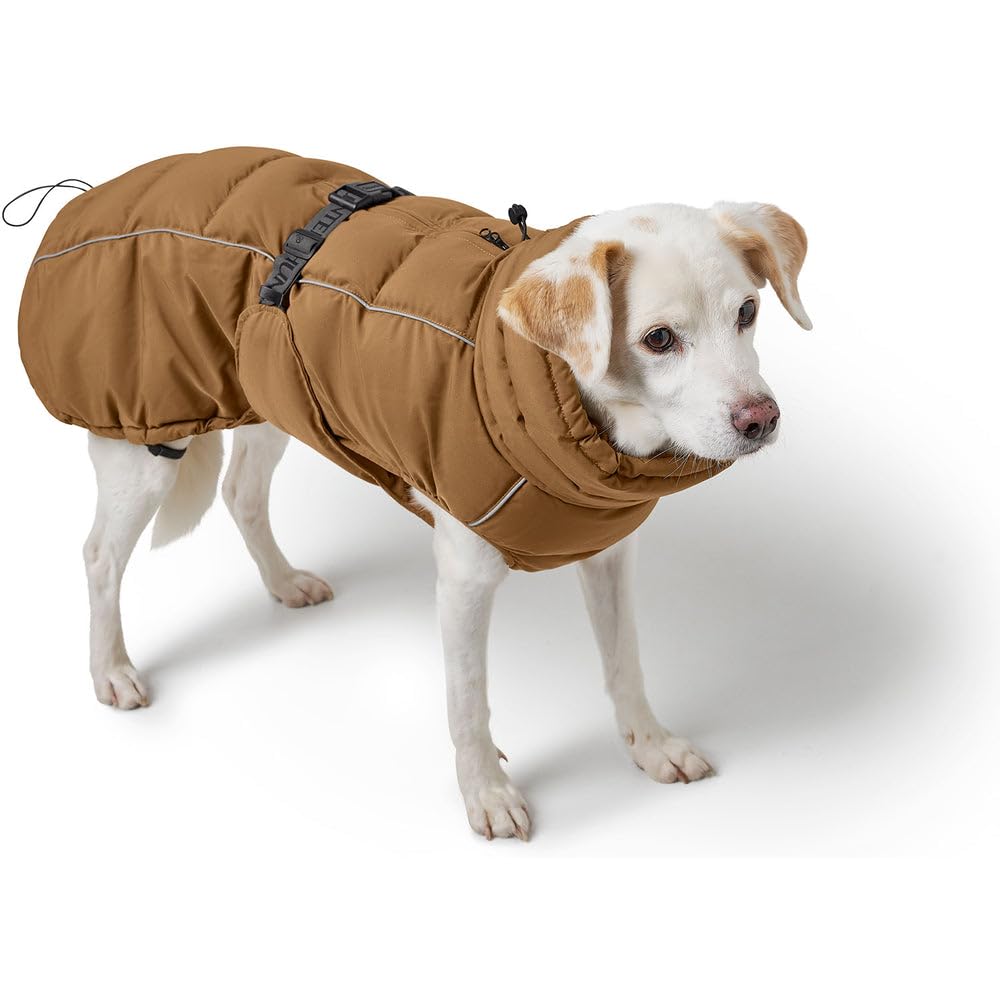 Abrigo para perro Paxson, color azul paloma, talla 45