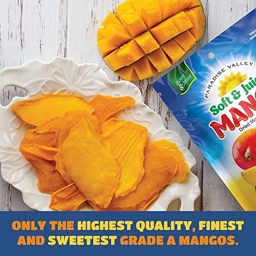 Paradise Valley Dried Mango Strips Soft & Juicy (LOW SUGAR)(Net WT.16 oz.)