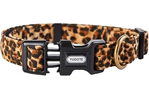 Gorgeous Collar for Your Beloved Cheetah