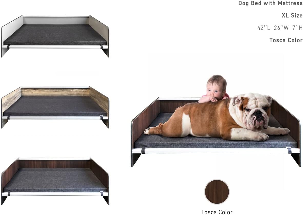 Foreman Waterproof Contemporary Comfort Dog Bed with Backrest - Pet Bed for Dogs and Cats Made from Compact Laminate and Aluminum, Includes a Dark Grey Mattress