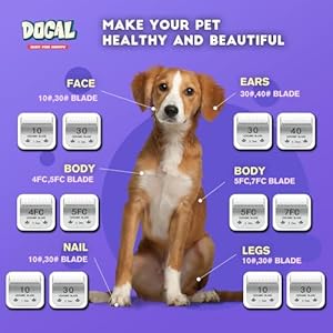 10 Pet Dog Grooming Detachable Blades Compatible with Andis Size10 Cut Length 11615mm Most A5km Series Clippersmade of Ceramic Blade  Stainless Steel Bladesilver  Cucciolini Doodles 10 pet dog grooming detachable blades compatible with andis size 10 cut length 1161 5mm most a5km series clippersmade of ceramic blade  stainless steel bladesilver   cucciolini doodles