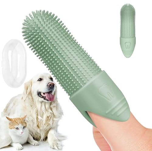 DICOCO  uV ^ 360xPA VR L uV gуP[Xt  puV ybg oPA _炩 sɗD ^ ^ ^ (O[)