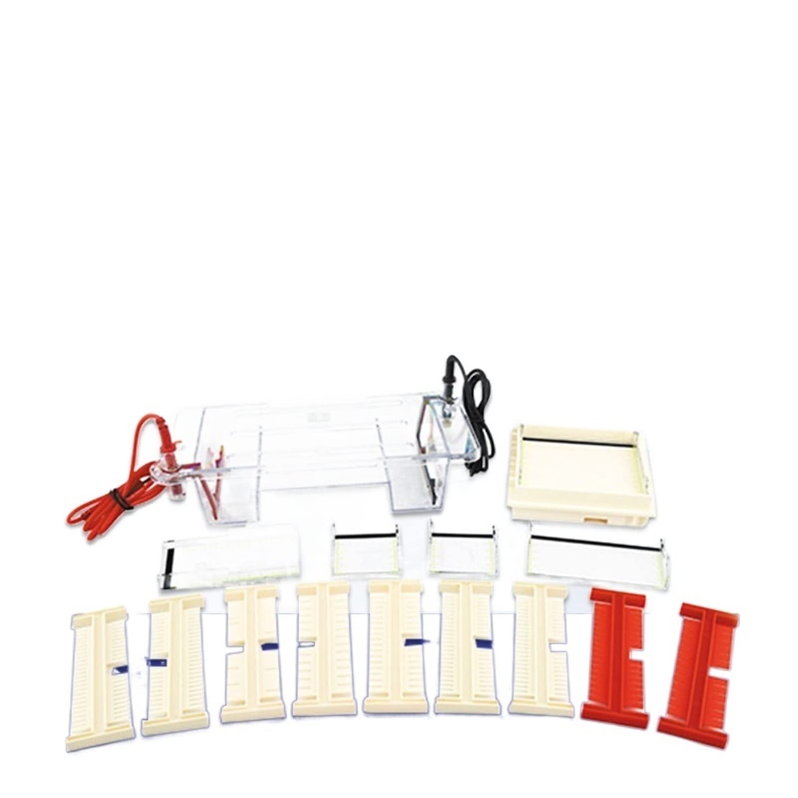 Gelelektrophoresesystem, Elektrophoresegerät, Horizontales Agarose-Elektrophoresegerät DYCP-31CN Laborprotein-Gelelektrophoresebehälter für Klassenzimmer und kleine Labore