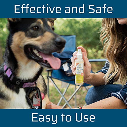 Wondercide - Flea, Tick and Mosquito Spray for Dogs, Cats, and Home - Flea and Tick Killer, Control, Prevention… - Image 3