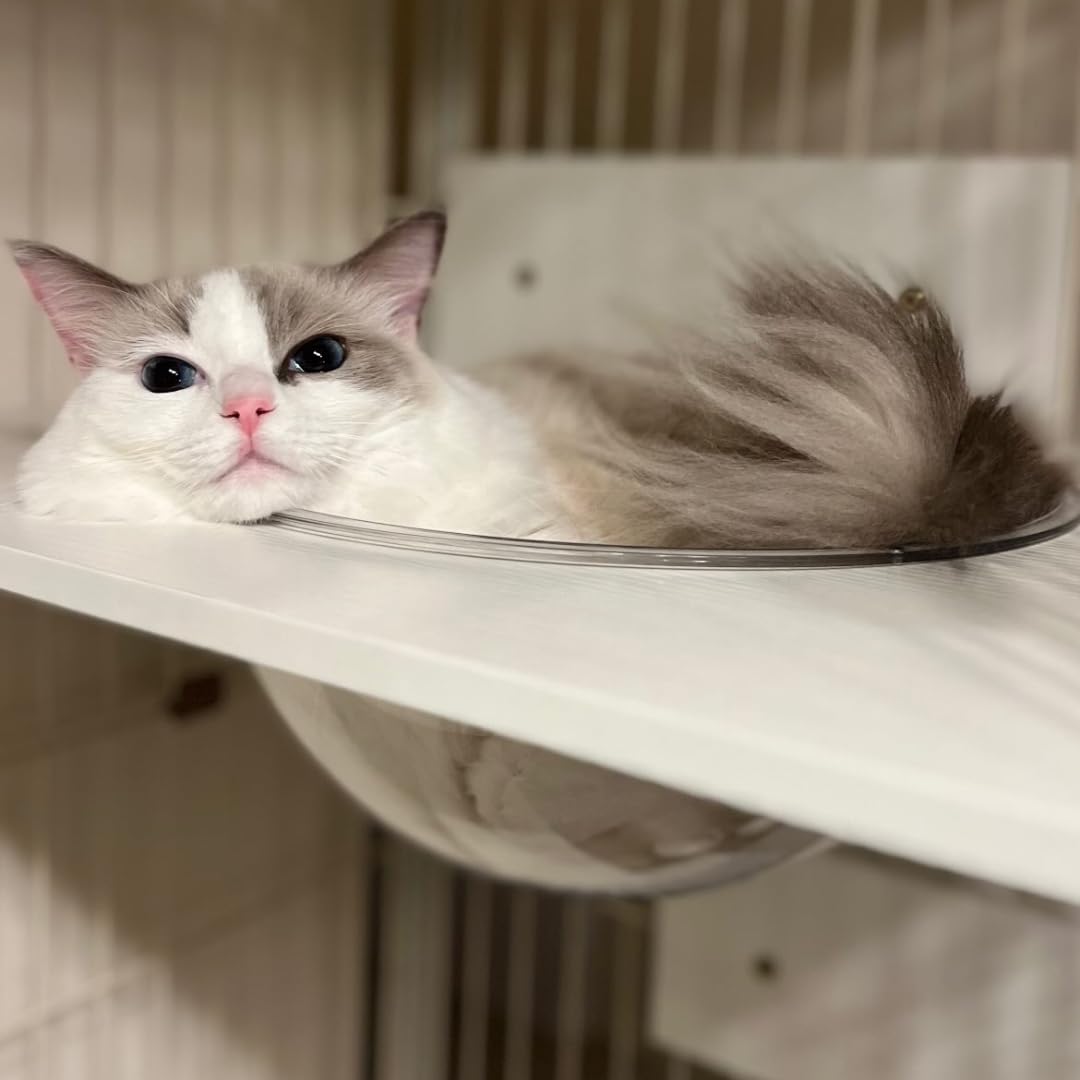 Amazon.co.jp: ieneko 猫ステップ板 猫用ケージ 棚板 足場 ねこの惑星