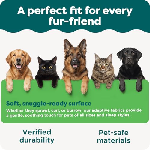 Image of Furhaven Elevated Dog Bed Frame for 30 inch x 20 inch Medium Dog Beds, Easy Assembly - Mid-Century Modern Bed Frame - Gray Wash, Medium
