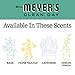 MRS. MEYER'S CLEAN DAY Air Freshener Sachets, Fragrance for your Locker, Car, Closet, and Gym Bag, Basil, Pack of 3