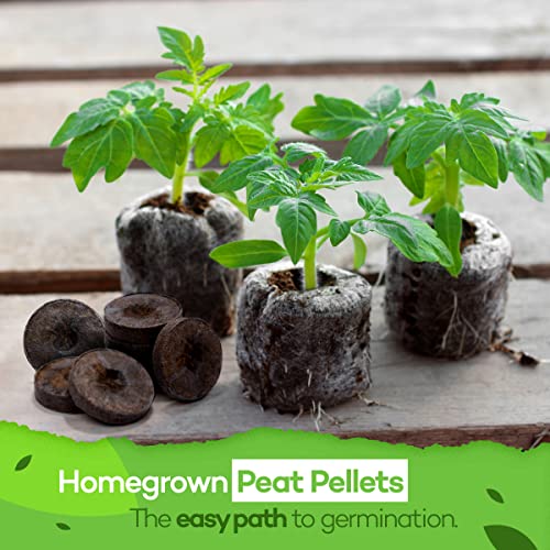 Seed Starter Peat Pellets For Gardening – Plant Seed Starter Pods For Planting Veggies, Flower Seeds, And Herb Garden Cuttings – Peat Moss Garden Starter Soil Pellets By Home Grown (42Mm, 50Count) #TOP1