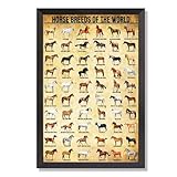 Horse Breeds Of The World Poster Horse Knowledge Canvas Wall Art Retro Animal Educational Pictures Aesthetic Prints Painting For Living Room Bedroom Country Farmhouse Wall Decor 8x10in Framed