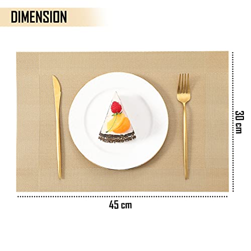 Image of HOKIPO PVC Washable 4 Pieces Dining Table Mats - 45x30 cm (AR3103)