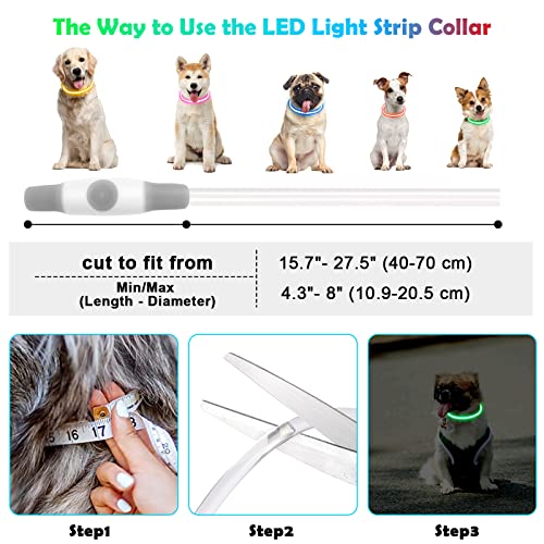 AUAUY LED Dog Collar, Light Up Dog Collars USB Rechargeable, Glowing Collar, Universal Flash Dog Necklace Light, Reusable Pet Safety Necklace for Small Medium Large Cats and Dogs-Colorful