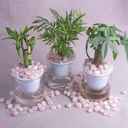Image of Polished Rose Quartz Crystal Set, 0.4 inch, 128 Pcs - Handpicked Tumbled Stones and Crystals Bulk for Healing, Reiki, Meditation, Witchcraft and Home Decor, 10 oz