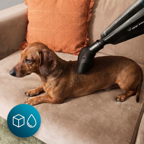Cecotec Akku-Handstaubsauger Conga Immortal Extremesuction 22,2 Animal Hand Neo. 150 W, 10 kPa Saugkraft, Tierhaar-Bürste, 25 Min Laufzeit… – Ansicht 5