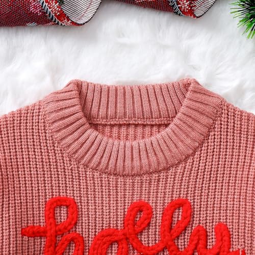 Boys Girls Fall Winter Christmas Embroidered Sweater Toddler Hoodie Sweatshirt3