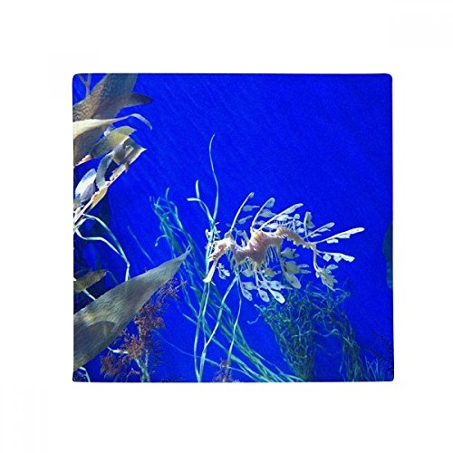 Tapis hippocampe multicolor 50x50cm, une idée cadeau originale
