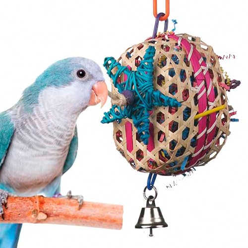 Super Bird Creations 10 par 17,8 cm Panier Coque Bird Jouet, Medium
