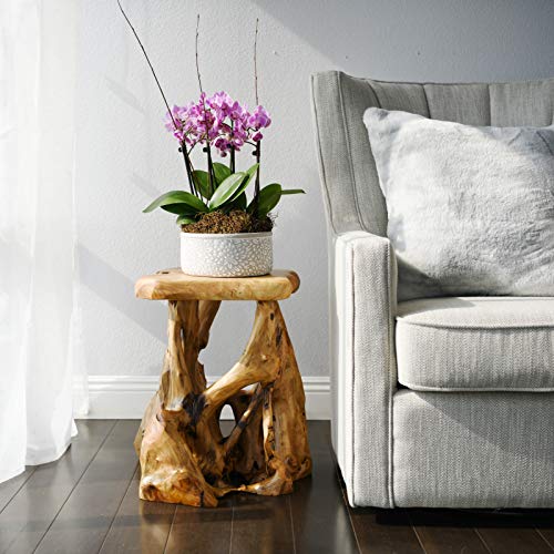 Welland Tree Stump Side Table, Live Edge Stool, Natural Edge Wood Side Table, Accent Table, 19" Tall #TOP3