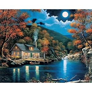 Verf op cijfers for volwassenen Beginner, Papavers Wildflowers 16×20 inch linnen canvas acryl Diy Nummer Painting Kits…