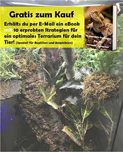 Tamay Sepiaschalen Premium 12 Stück I Optimale Kalzium u. Vitaminversorgung Nahrung, Futter für Reptilien, Schildkröten, Vögel I Sepia Schalen Terrarium Zubehör