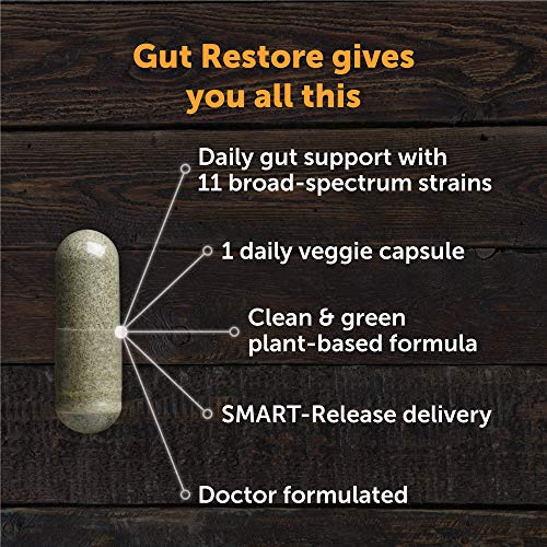 Dr. Drew Sinatra’s Lifebiome Gut Restore, Everyday Microbiome Probiotic With Fermented Botanicals, 11 Multi Strains, 30 Once-Daily Capsules, Vegetarian, Soy-, Dairy-, And Gluten Free #TOP5