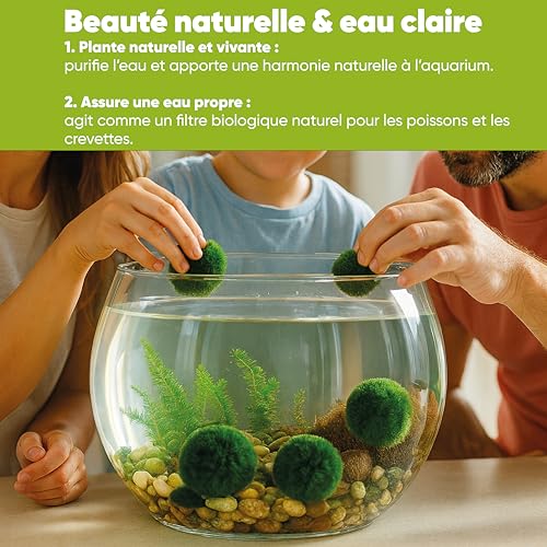 Vignette produit