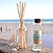 Urban Naturals Ocean Mist & Sea Salt Reed Diffuser Set | Made with Essential Oils & Real Seashells | Decorative Air Freshener Room Diffuser